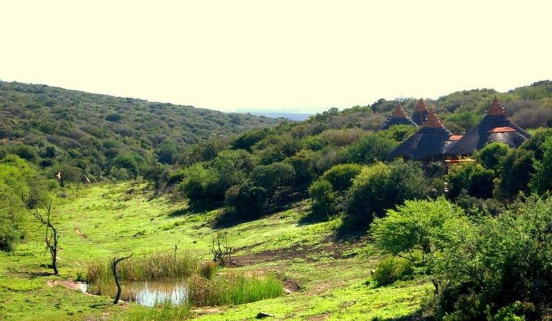 AMKHALA SAFARI LODGE -SUITE LOCATION